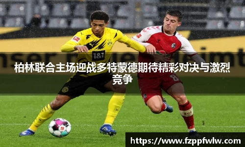 bellbet贝博官网
