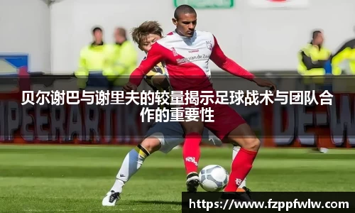 bellbet贝博官方网站